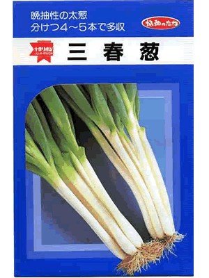 ハナコ　ネギ種子3品種 ネギ種子 下仁田 の通販 | ホームセンター コメリドットコム